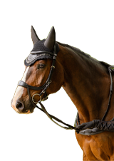 Chaser Bridle