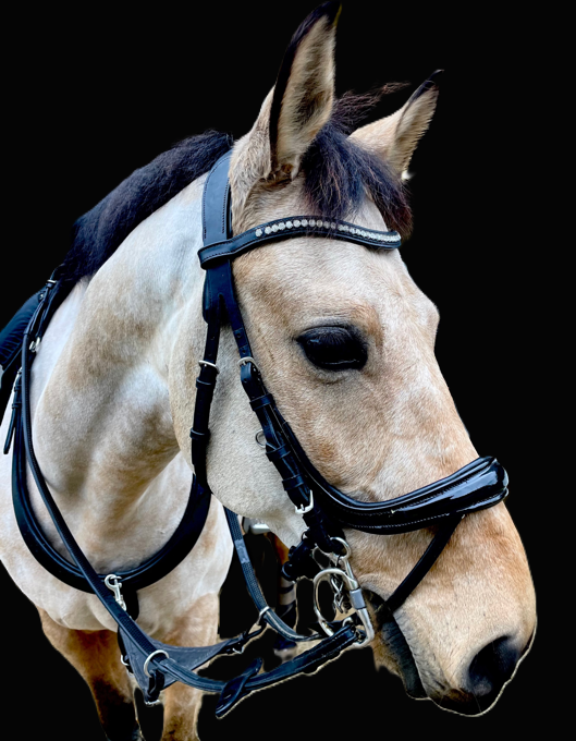 Equitus Evo Sports Bridle