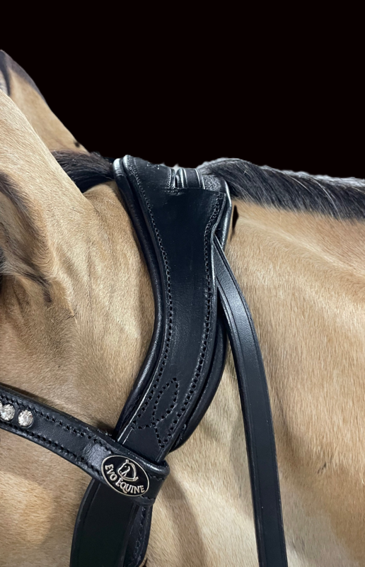 Equitus Evo Sports Bridle