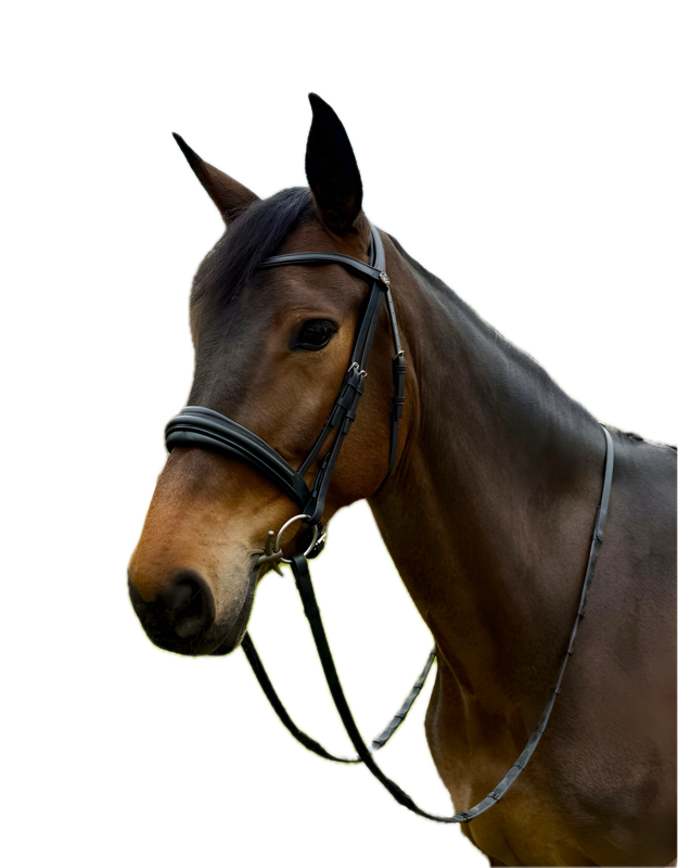 Saffron Super Soft Bridle