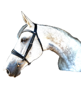 Saffron Super Soft Bridle