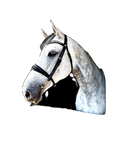 Saffron Super Soft Bridle