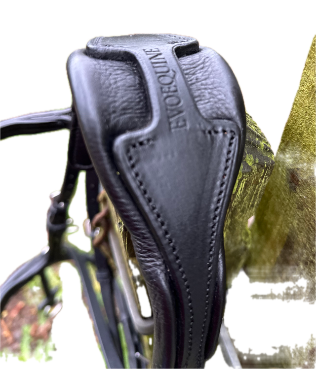 Easy Ride 4 Way Bridle