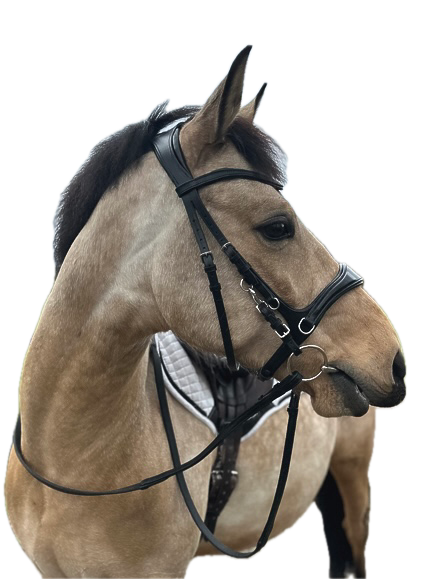 Easy Ride 4 Way Bridle