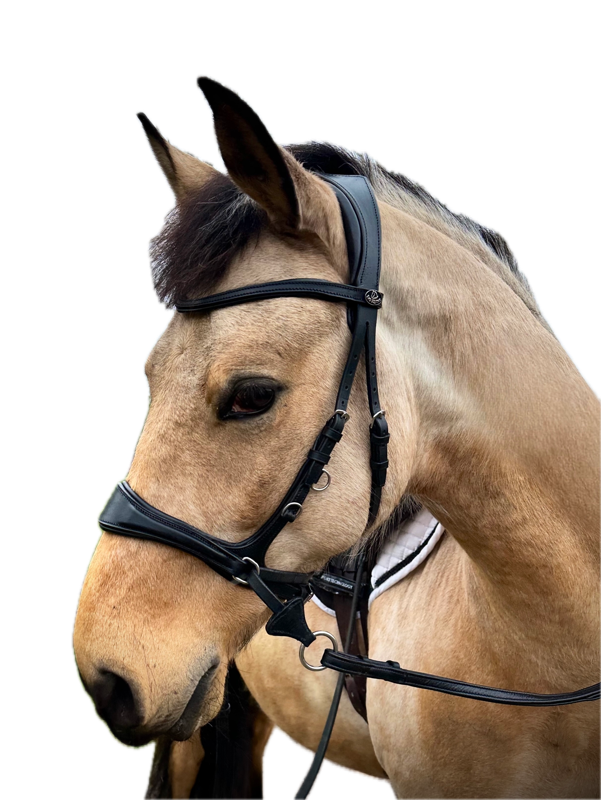 Easy Ride 4 Way Bridle