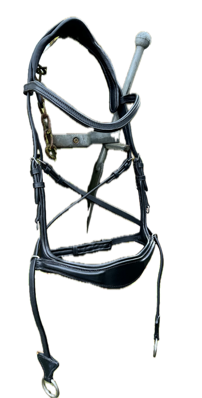 Easy Ride 4 Way Bridle
