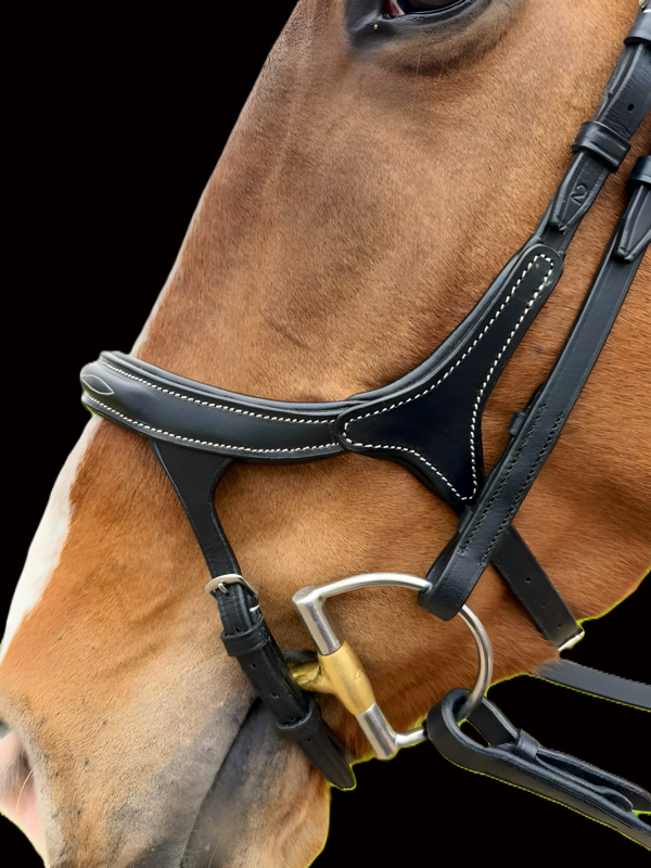 Rayban Breath Easy Flash Bridle