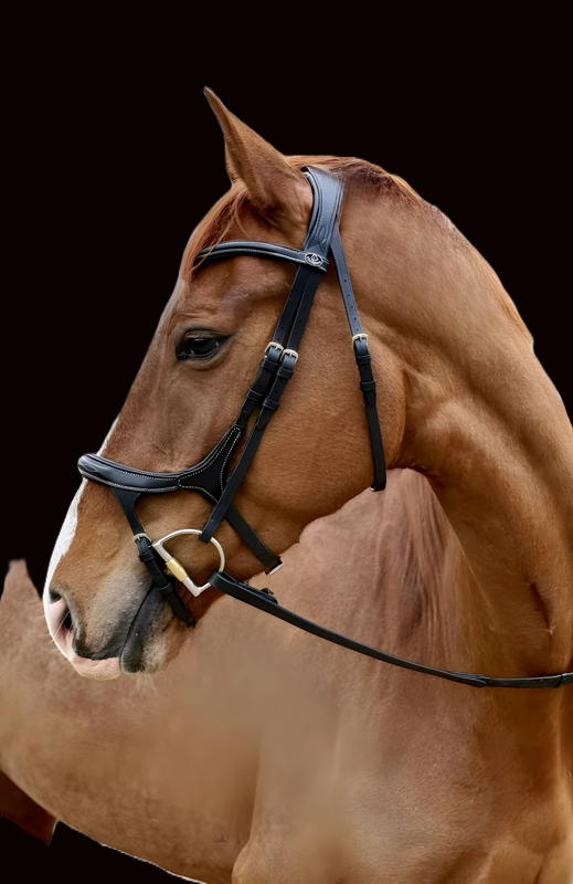 Rayban Breath Easy Flash Bridle