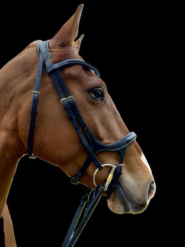 Rayban Breath Easy Flash Bridle