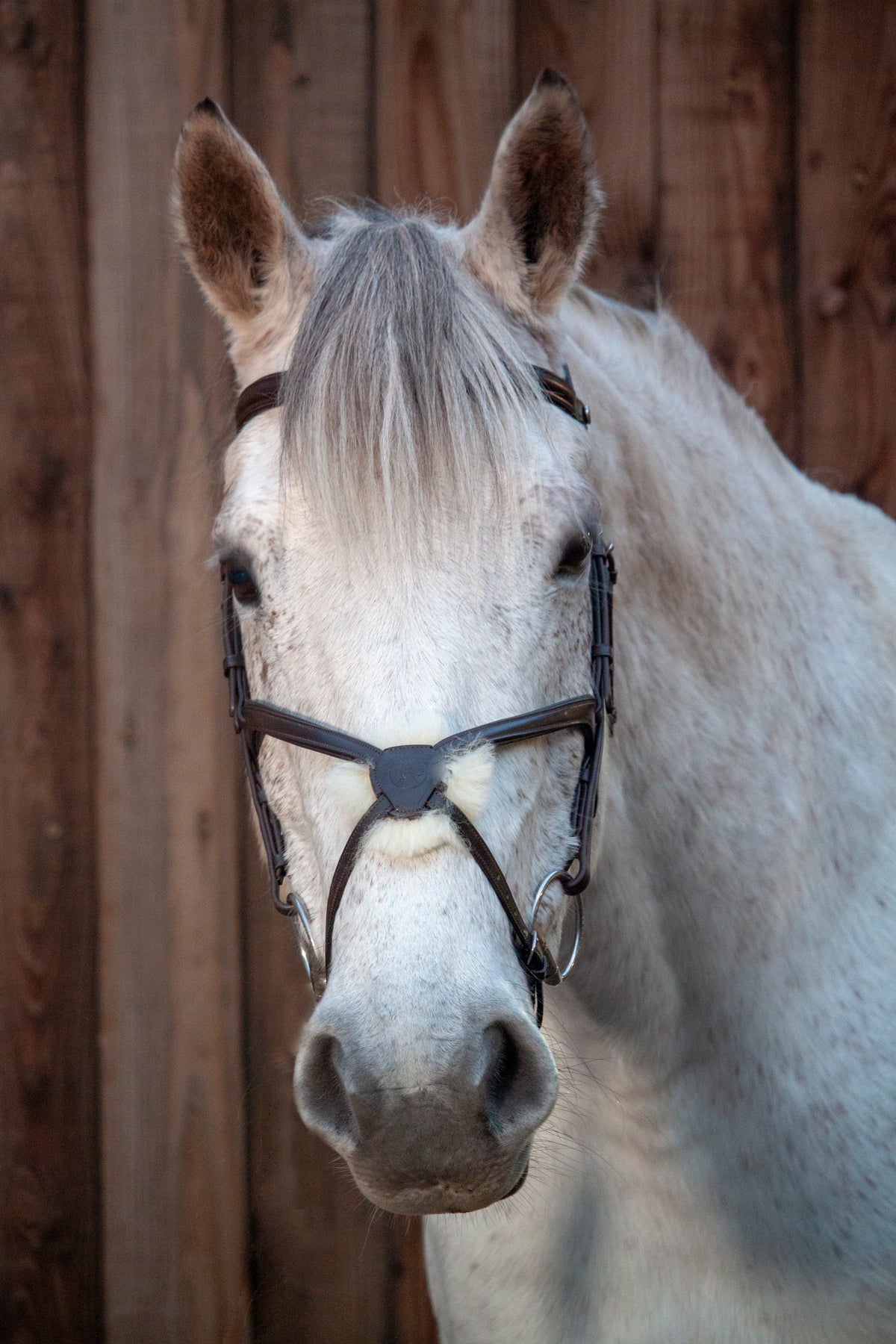 Henry James Sheepskin Grackle Bridle